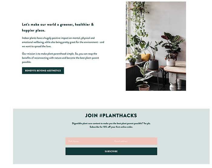 A screenshot from the leafenvy website, showing website text and an image of houseplants